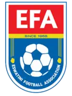 Shirt badge/Association crest