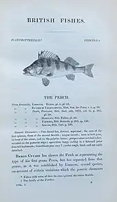 page of a book with a picture of a fish and text