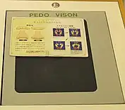 A nonsensical translation on a foot pressure scanner in a shoe store in Japan