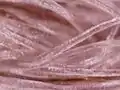 Woolen shawl under microscope