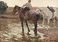 Horses, 1904