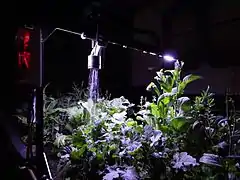 A Farmbot fitted with lights.