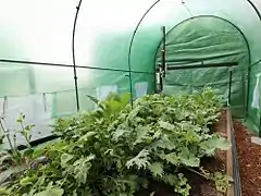 A FarmBot placed inside a greenhouse allowing year-round growing.