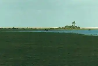 Lighthouse in the distance