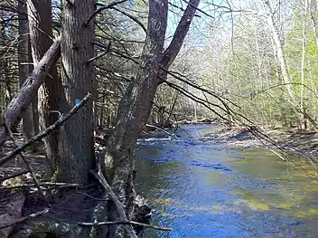 FentonRiveralongNipmuckTrailjustnorthofCTRoute44-2