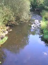 The Lugton Water near Fergushill and the old Waggonway Bridge.