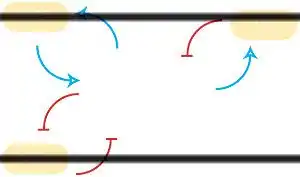 Dosage-response curves
