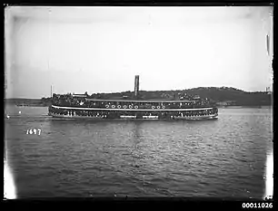 Koree following the yacht races