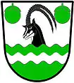 a fess abased - Per fess wavy abaisse [abased] argent and vert, a fess wavy abaisse per fess wavy counterchanged, issuant therefrom a sable antelope's head proper, between in chief two oranges slipped and leaved, vert - White River Town Council, RSA