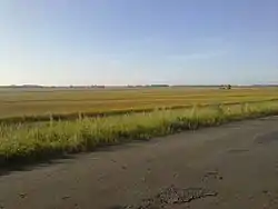 Field scene, Kalmansky District