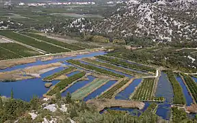 Plantations in the fertile Neretva valley.