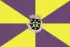 Flag of Albergaria-a-Velha