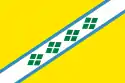 Flag of Chastinsky District