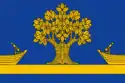 Flag of Dubovsky District, Volgograd Oblast