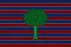 Flag of Floresta