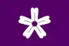 Flag of Iwaki