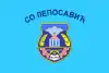 Flag of Leposavić