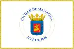 Flag of Managua