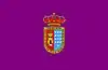 Flag of Roa de Duero