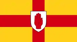 Flag of {{{official_name}}}