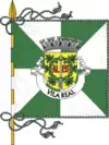 Flag of District of Vila Real