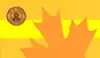 Flag of Yorkton