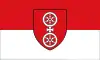 Flag of {{{official_name}}}