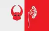 Flag of Rantzau