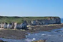 A line of white cliffs topped with green turf protruding into the sea.