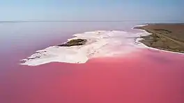 View of Lake Lemuria, one of the bodies of water tinted by algae.