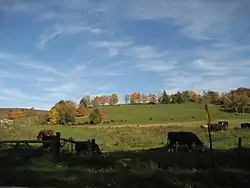 View of a farm in Richmond