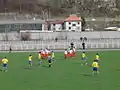 Footballers of FK Polimlje celebrating a goal.