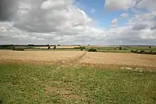 a field of standing wheat, with a bare fotpath going straight up from where we stand.  Above all a rolling seies of cumulus clouds crwod an otherwise blue sky.  The terrain to the distant woodland on the horizon is tiny, loosely rolling, low hills.  The immediate nearground is a field margin of low green grasses.