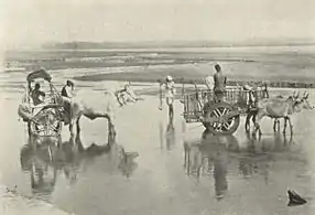 Fording an Indian river, c. 1905