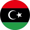 Free Libyan Air Force (2011–2014)