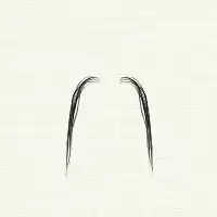 "Fu Manchu" moustache style