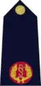 Rank insignia of Garda Assistant Commissioner