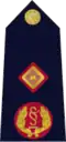 Rank insignia of Garda Deputy Commissioner