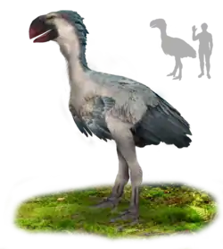 the Diatryma (Gastornis gigantea) was the largest bird ever to live in north america weighing up to 225&nbsp;kg (496&nbsp;lb).