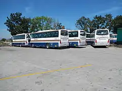 Parked buses waiting for dispatch