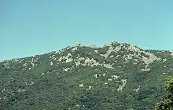 Genista corsica habitat in the northern Supramonte mountain range.