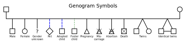 Basic Genogram Symbols