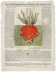 .mw-parser-output .citation{word-wrap:break-word}.mw-parser-output .citation:target{background-color:rgba(0,127,255,0.133)}#3 (c. 15/10/1673)Broadsheet covering the giant squid stranded at Dingle, Ireland, around 15 October 1673 (Hooke et al., c. 1674). Steve O'Shea commented that though the animal depicted "doesn't look true to any squid, it is probably more similar to a cranchiid than it is to an architeuthid".