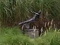 Girl on a Swing (1984), a bronze statue by British sculptor Sydney Harpley