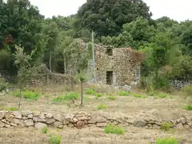 The U Troghju Comunu, which is the ancestor of the wine cooperatives, in Giuncheto