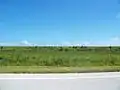 View of the Dike in Glades County from Florida State Road 78, south of the Brighton Seminole Indian Reservation
