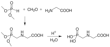 Glyphosate synthesis from dimethyl phosphite