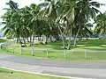 Golf Course at Club Nautico de Ponce