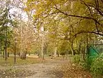 Park in autumn 1