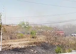 A grassfire being controlled by firefighters in Nuevo León, México, during the drought
